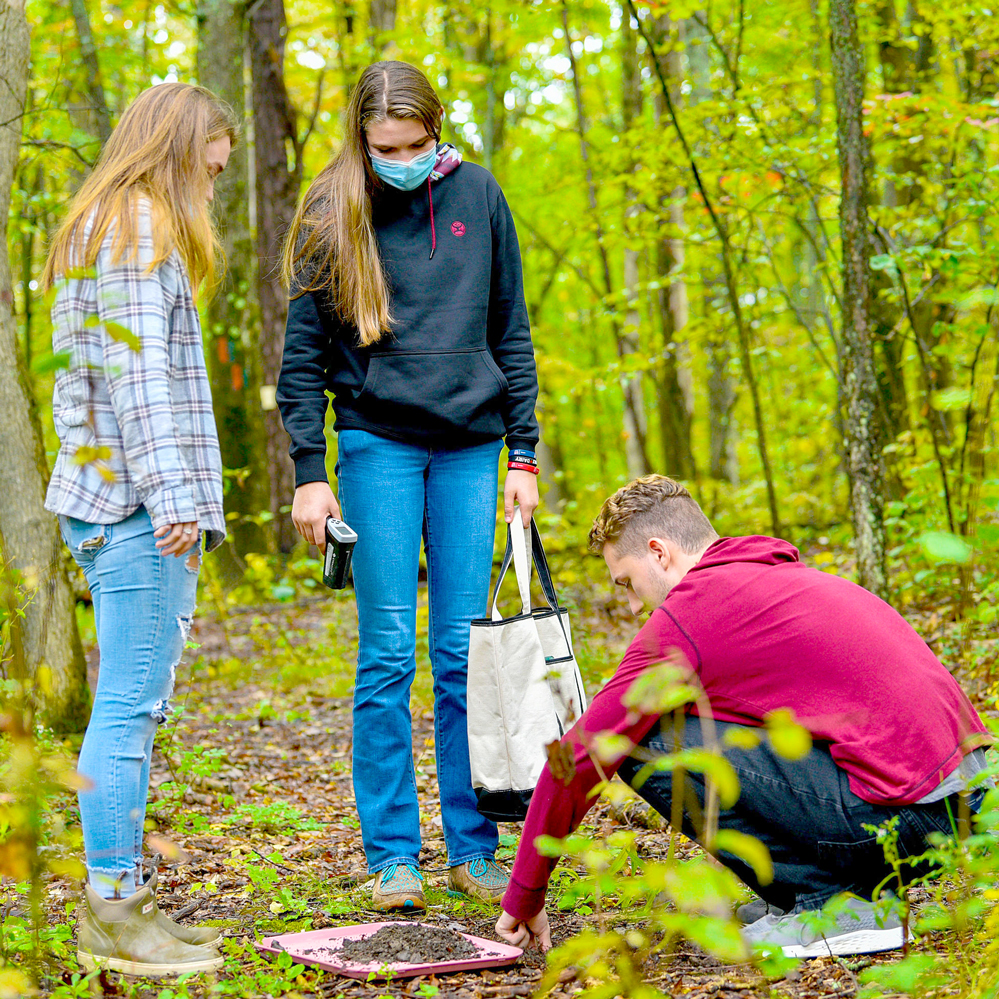 sustainability academics