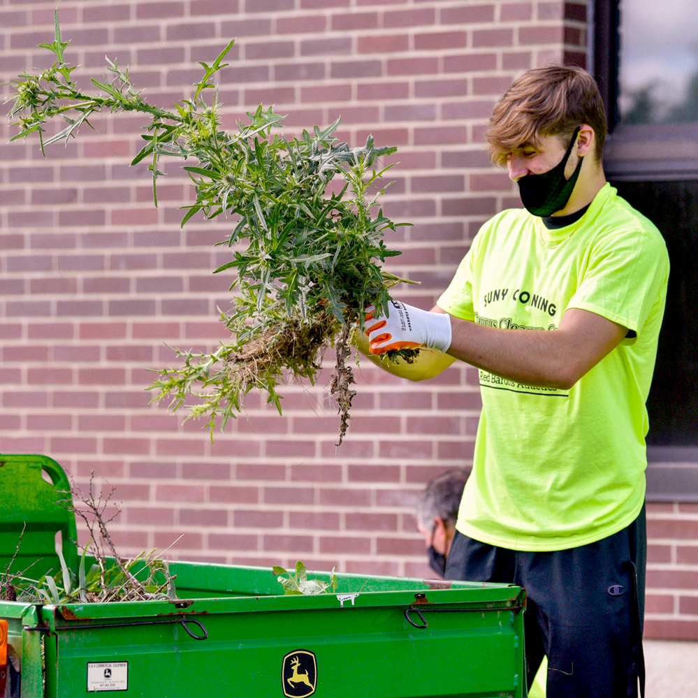 sustainability green campus